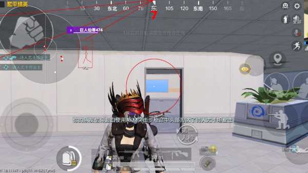 和平精英辅助软件的发展与影响分析